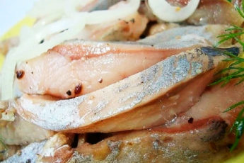 Солим любую рыбу — селедочку, скумбрию, кильку, горбушу